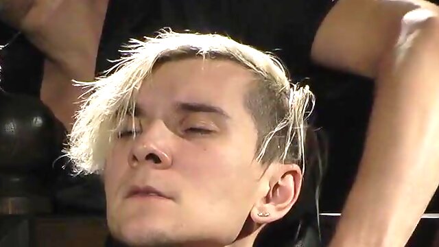 NICKY NIP KITTLING to THRONE