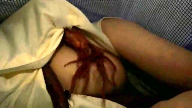 Fatty girl who loves big cocks warms up for a hardcore sex