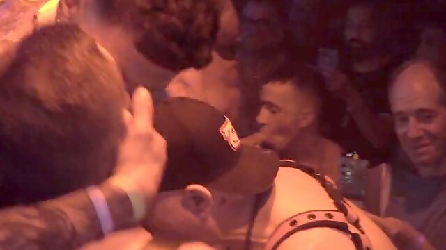 Antony Cortinovis, Pablo Bravo & grizzly Rayet