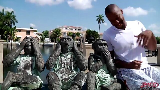 ローティーン, ドギースタイル, アマチュア