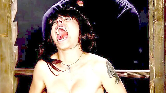 The Terminator, the groovy one, and the devoted slave continue their saga