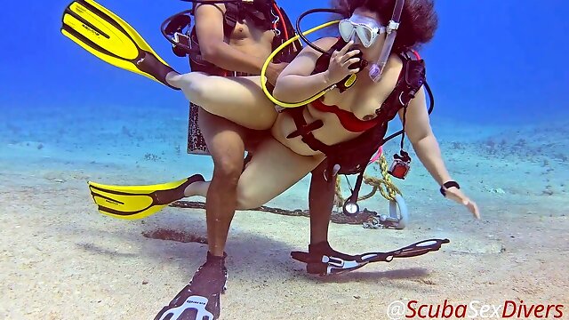 아시아, 팬티, 비키니