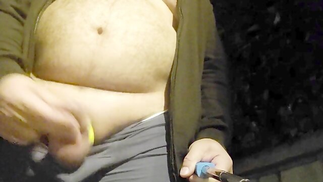 Masturbating bear Night Walk two