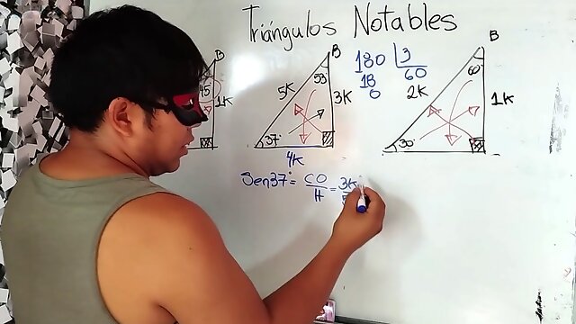 Homo