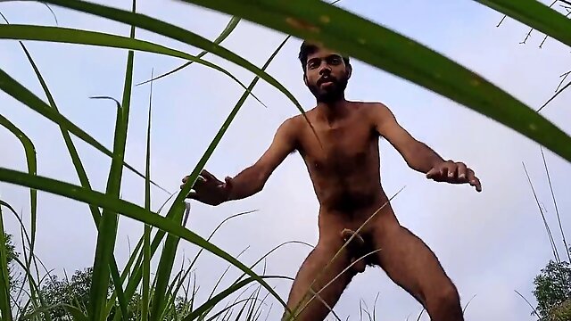 Gay