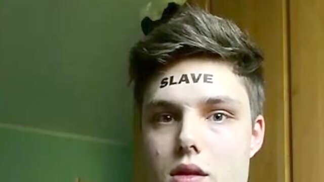 Gay