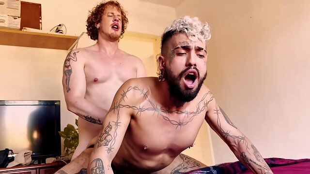 Homo