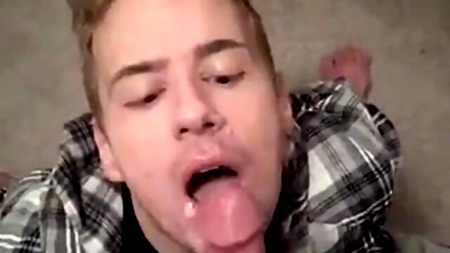 Homo