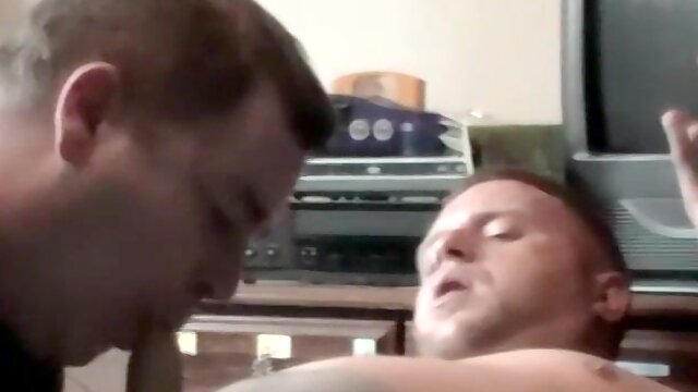 Homo