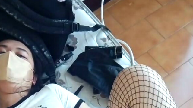 Crossdresser, Shemale