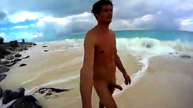 Геи