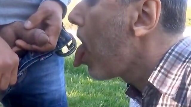 Gay