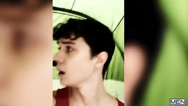 Homo