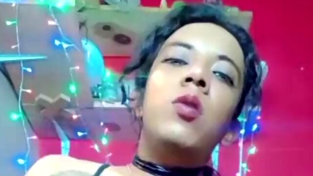 Transu