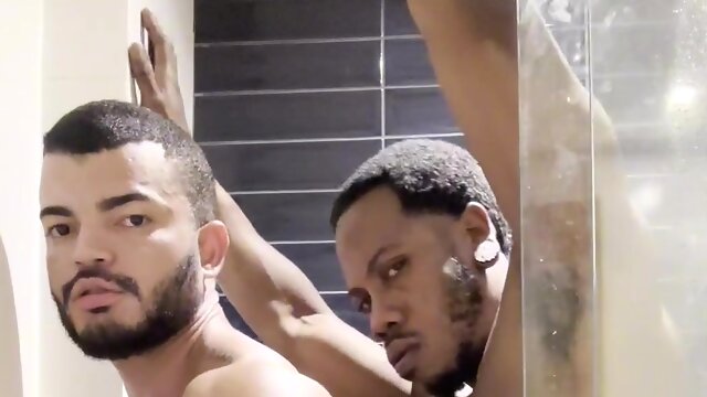 Gay