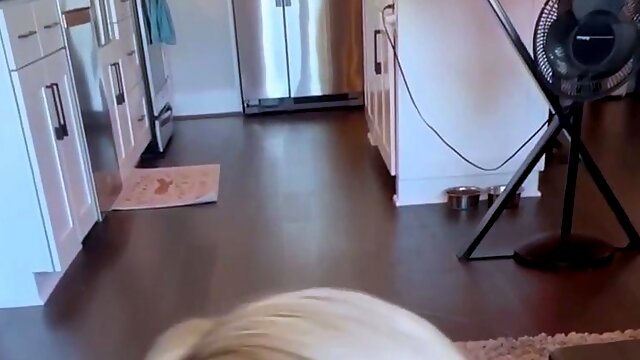 Blondi