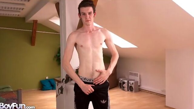 Homo