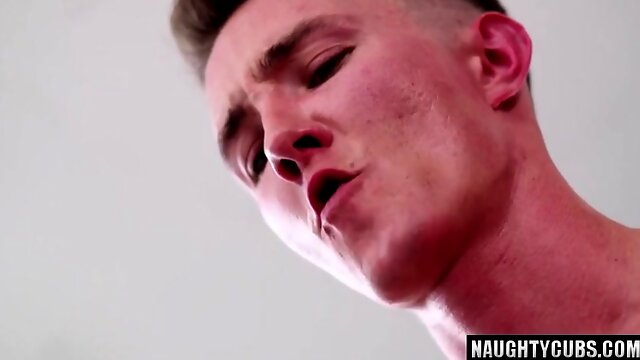 Homo