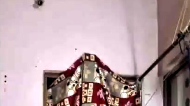 아마추어