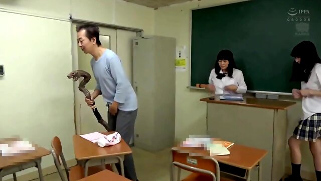 Japonesas