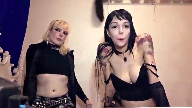 Transu