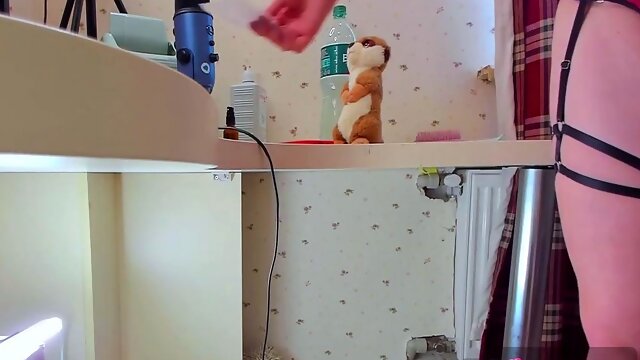 Solo, Webkamera