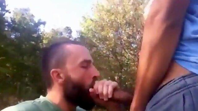 Gay