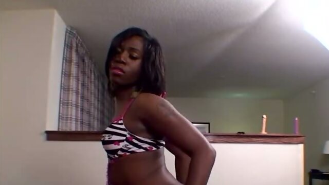 BLACK TGIRLS Zebra Bikini Trans Solo Toy Play