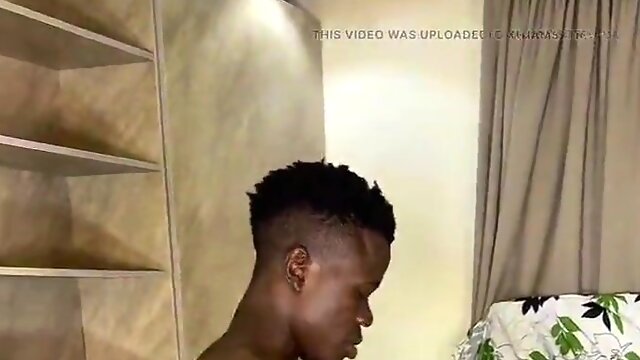 Homo