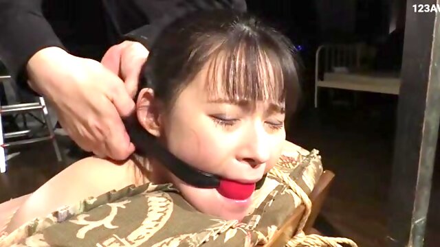 Orgasme Compilation