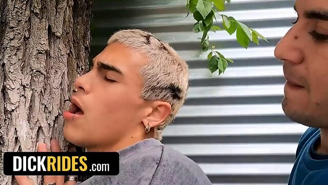 Bonitinho, Anal