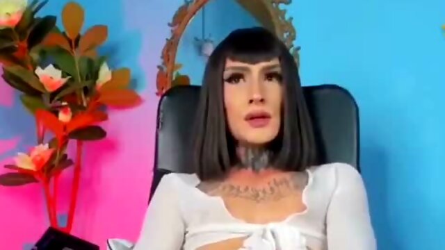 Transexuelle