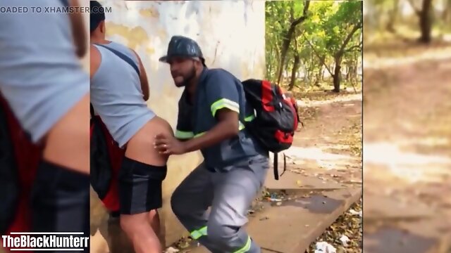 Gay
