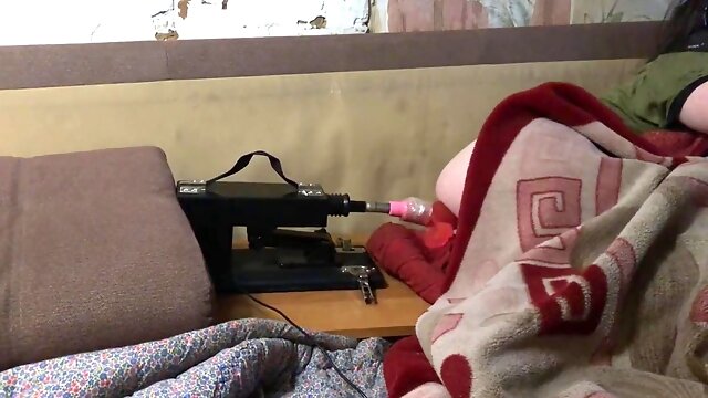 Ледибой