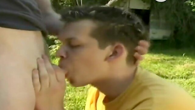 Gay