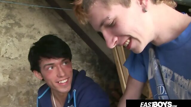 Gay