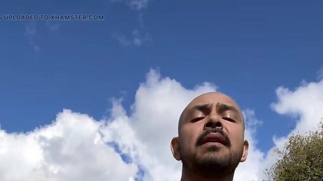 Gay