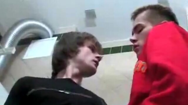 Gay