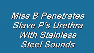 Sounding Urethral, Femdom Sounding