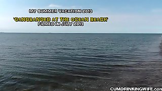 Slutwife creampied by strangers at the beach