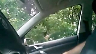 Hooker Blowjob In Car