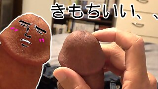 Gaia