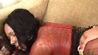 Lesbian Seduction Strapon