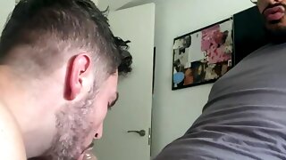 Gay Suck Straight, Gay Monster Cock Suck, Fat Gay