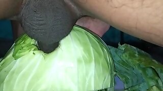 Pakinoon Playing With Cabbage With His Horny Big Cock And Balls For Dream 2 Please CUMS