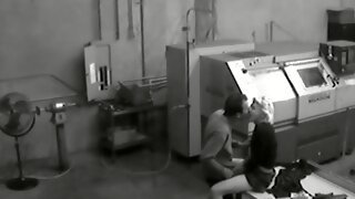 Nascosto In Ufficio, Cam Office