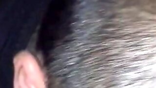 Stranger Gay Blowjob