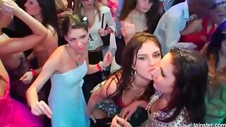 Party Cock Sucking