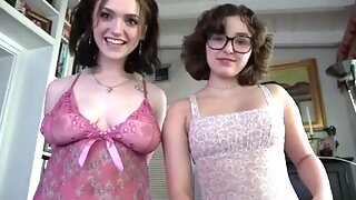 Amiga, Casero