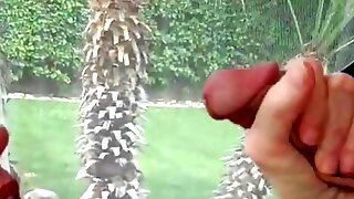 Granny Sucks Big Cock